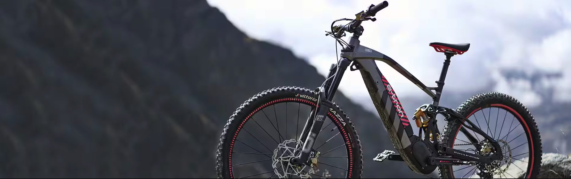 ebike